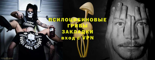 apvp Верхний Тагил
