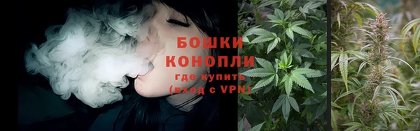 стафф Верея