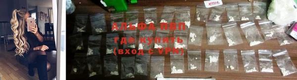 стафф Верея