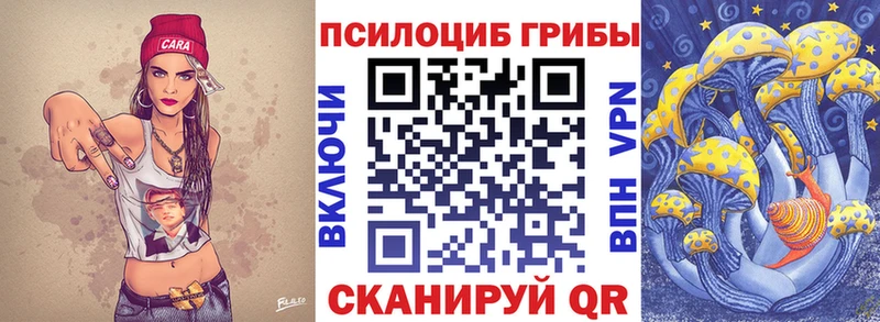 Галлюциногенные грибы Psilocybe  Купить закладки  Кулебаки 